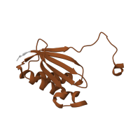 The deposited structure of PDB entry 5uq8 contains 1 copy of Pfam domain PF00411 (Ribosomal protein S11) in Small ribosomal subunit protein uS11. Showing 1 copy in chain PA [auth k].