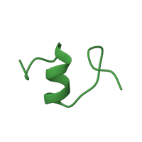 The deposited structure of PDB entry 5uq8 contains 1 copy of Pfam domain PF17070 (30S ribosomal protein Thx) in Small ribosomal subunit protein bTHX. Showing 1 copy in chain ZA [auth u].