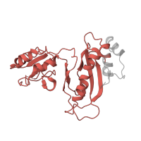 The deposited structure of PDB entry 5uq8 contains 1 copy of Pfam domain PF00687 (Ribosomal protein L1p/L10e family) in Large ribosomal subunit protein uL1. Showing 1 copy in chain BB [auth C].