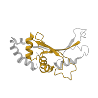 The deposited structure of PDB entry 5uq8 contains 1 copy of Pfam domain PF00673 (ribosomal L5P family C-terminus) in Large ribosomal subunit protein uL5. Showing 1 copy in chain F [auth G].