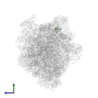 Large ribosomal subunit protein bL27 in PDB entry 5uq8, assembly 1, side view.