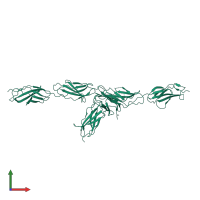 Angiopoietin-1 receptor in PDB entry 5utk, assembly 1, front view.