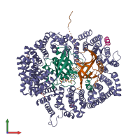 PDB entry 5uwi coloured by chain, front view.