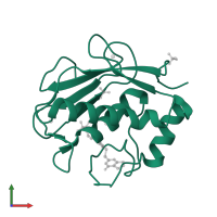 Collagenase 3 in PDB entry 5uwn, assembly 1, front view.