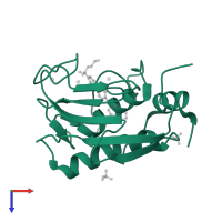 Collagenase 3 in PDB entry 5uwn, assembly 1, top view.