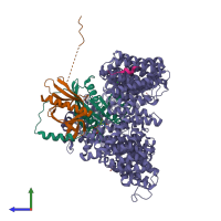 PDB entry 5uwu coloured by chain, side view.