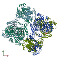 PDB entry 5uy8 coloured by chain, front view.