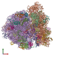 PDB entry 5uyl coloured by chain, front view.