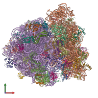 PDB entry 5uym coloured by chain, front view.