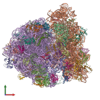 PDB entry 5uyp coloured by chain, front view.