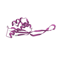 The deposited structure of PDB entry 5uyq contains 1 copy of Pfam domain PF00237 (Ribosomal protein L22p/L17e) in Large ribosomal subunit protein uL22. Showing 1 copy in chain R [auth 21].