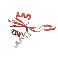 The deposited structure of PDB entry 5uyq contains 1 copy of Pfam domain PF00276 (Ribosomal protein L23) in Large ribosomal subunit protein uL23. Showing 1 copy in chain S [auth 22].