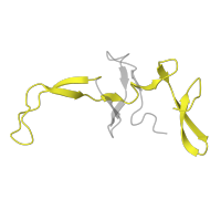 The deposited structure of PDB entry 5uyq contains 1 copy of Pfam domain PF17136 (Ribosomal proteins 50S L24/mitochondrial 39S L24) in Large ribosomal subunit protein uL24. Showing 1 copy in chain T [auth 23].