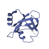 The deposited structure of PDB entry 5uyq contains 1 copy of Pfam domain PF01386 (Ribosomal L25p family) in Large ribosomal subunit protein bL25. Showing 1 copy in chain U [auth 24].