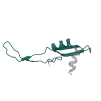 The deposited structure of PDB entry 5uyq contains 1 copy of Pfam domain PF00830 (Ribosomal L28 family) in Large ribosomal subunit protein bL28. Showing 1 copy in chain W [auth 26].