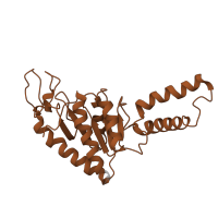 The deposited structure of PDB entry 5uyq contains 1 copy of Pfam domain PF00318 (Ribosomal protein S2) in Small ribosomal subunit protein uS2. Showing 1 copy in chain FA [auth B].