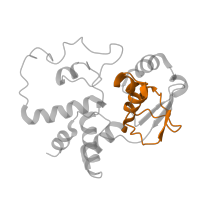 The deposited structure of PDB entry 5uyq contains 1 copy of Pfam domain PF01479 (S4 domain) in Small ribosomal subunit protein uS4. Showing 1 copy in chain HA [auth D].