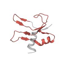 The deposited structure of PDB entry 5uyq contains 1 copy of Pfam domain PF00886 (Ribosomal protein S16) in Small ribosomal subunit protein bS16. Showing 1 copy in chain TA [auth P].