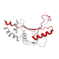 The deposited structure of PDB entry 5uyq contains 1 copy of Pfam domain PF00281 (Ribosomal protein L5) in Large ribosomal subunit protein uL5. Showing 1 copy in chain D [auth 07].