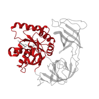 The deposited structure of PDB entry 5uyq contains 1 copy of Pfam domain PF00009 (Elongation factor Tu GTP binding domain) in Elongation factor Tu 1. Showing 1 copy in chain HB [auth Z].