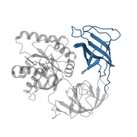 The deposited structure of PDB entry 5uyq contains 1 copy of Pfam domain PF03143 (Elongation factor Tu C-terminal domain) in Elongation factor Tu 1. Showing 1 copy in chain HB [auth Z].