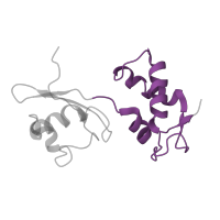 The deposited structure of PDB entry 5uyq contains 1 copy of Pfam domain PF00298 (Ribosomal protein L11, RNA binding domain) in Large ribosomal subunit protein uL11. Showing 1 copy in chain H [auth 11].