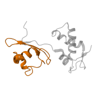 The deposited structure of PDB entry 5uyq contains 1 copy of Pfam domain PF03946 (Ribosomal protein L11, N-terminal domain) in Large ribosomal subunit protein uL11. Showing 1 copy in chain H [auth 11].