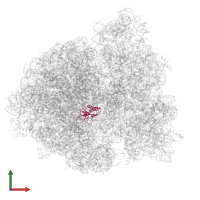 Large ribosomal subunit protein uL16 in PDB entry 5uyq, assembly 1, front view.