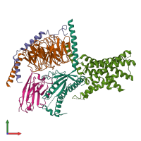 PDB entry 5uz7 coloured by chain, front view.