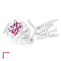 NANOBODY 35 in PDB entry 5uz7, assembly 1, top view.