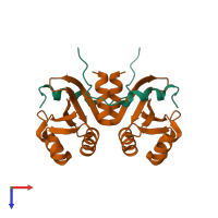 Hetero tetrameric assembly 1 of PDB entry 5v1a coloured by chemically distinct molecules, top view.
