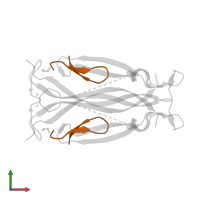 Peptide inhibitor in PDB entry 5vb9, assembly 2, front view.
