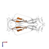 Peptide inhibitor in PDB entry 5vb9, assembly 2, top view.