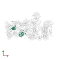 Proteasome subunit beta type-7 in PDB entry 5vfq, assembly 1, front view.