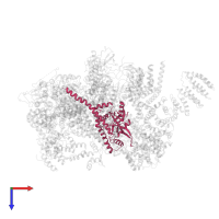26S proteasome non-ATPase regulatory subunit 7 in PDB entry 5vgz, assembly 1, top view.