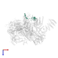 26S proteasome regulatory subunit 7 in PDB entry 5vgz, assembly 1, top view.