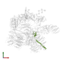 26S proteasome regulatory subunit 10B in PDB entry 5vgz, assembly 1, front view.