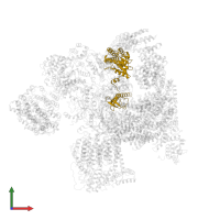 26S proteasome regulatory subunit 10B in PDB entry 5vhf, assembly 1, front view.