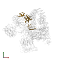 26S proteasome regulatory subunit 6A in PDB entry 5vhf, assembly 1, front view.