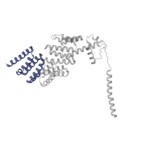 The deposited structure of PDB entry 5vhi contains 1 copy of Pfam domain PF18055 (26S proteasome regulatory subunit RPN6 N-terminal domain) in 26S proteasome non-ATPase regulatory subunit 11. Showing 1 copy in chain J [auth X].