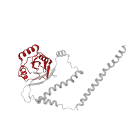 The deposited structure of PDB entry 5vhi contains 1 copy of Pfam domain PF01398 (JAB1/Mov34/MPN/PAD-1 ubiquitin protease) in 26S proteasome non-ATPase regulatory subunit 7. Showing 1 copy in chain L [auth Z].