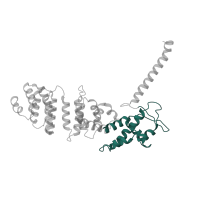 The deposited structure of PDB entry 5vhi contains 1 copy of Pfam domain PF01399 (PCI domain) in 26S proteasome non-ATPase regulatory subunit 13. Showing 1 copy in chain M [auth a].