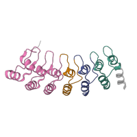 The deposited structure of PDB entry 5vhi contains 4 copies of Pfam domain PF12796 (Ankyrin repeats (3 copies)) in 26S proteasome non-ATPase regulatory subunit 10. Showing 4 copies in chain Q [auth G].