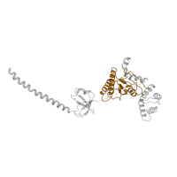 The deposited structure of PDB entry 5vhi contains 1 copy of Pfam domain PF00004 (ATPase family associated with various cellular activities (AAA)) in 26S proteasome regulatory subunit 6B. Showing 1 copy in chain D.