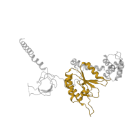 The deposited structure of PDB entry 5vhi contains 1 copy of Pfam domain PF00004 (ATPase family associated with various cellular activities (AAA)) in 26S proteasome regulatory subunit 6A. Showing 1 copy in chain F.