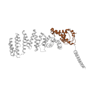 The deposited structure of PDB entry 5vhi contains 1 copy of Pfam domain PF01399 (PCI domain) in 26S proteasome non-ATPase regulatory subunit 12. Showing 1 copy in chain I [auth W].