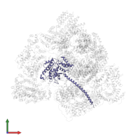 26S proteasome regulatory subunit 8 in PDB entry 5vhi, assembly 1, front view.