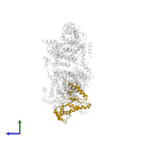 26S proteasome regulatory subunit 6A in PDB entry 5vhp, assembly 1, side view.