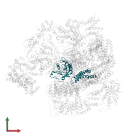 26S proteasome non-ATPase regulatory subunit 14 in PDB entry 5vhs, assembly 1, front view.