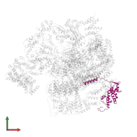 26S proteasome non-ATPase regulatory subunit 8 in PDB entry 5vhs, assembly 1, front view.